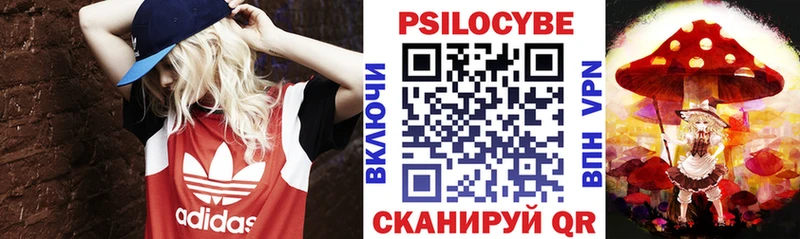 Купить закладки  Нововоронеж  Псилоцибиновые грибы мицелий 